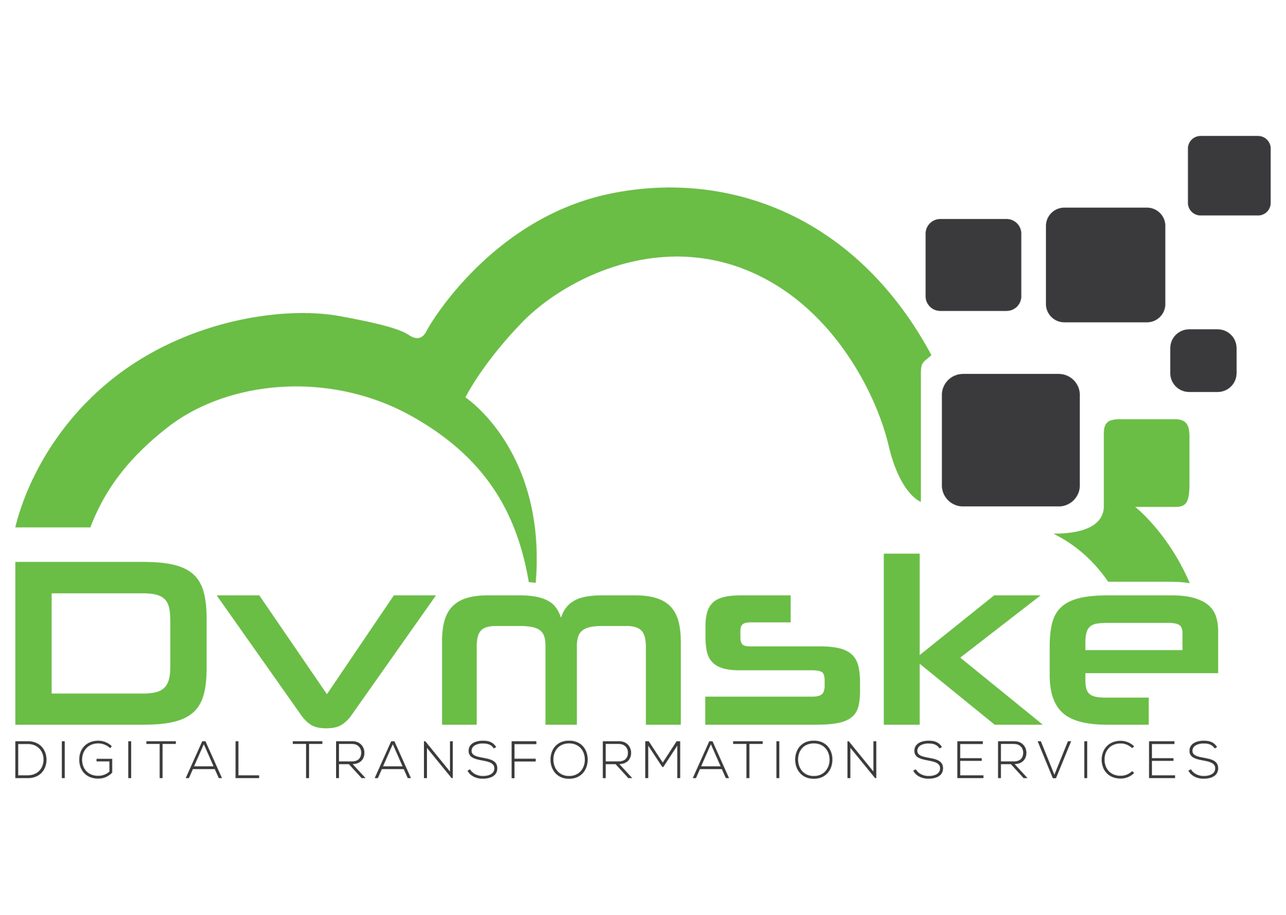 Dvmske Partner