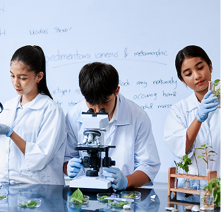 Life Sciences