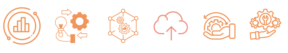 Enterprise Process Diagnostic